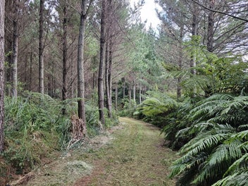 Image 1 of 6