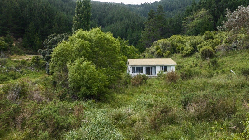 Image 2 of 13