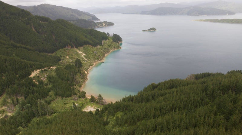 Image 1 of 13