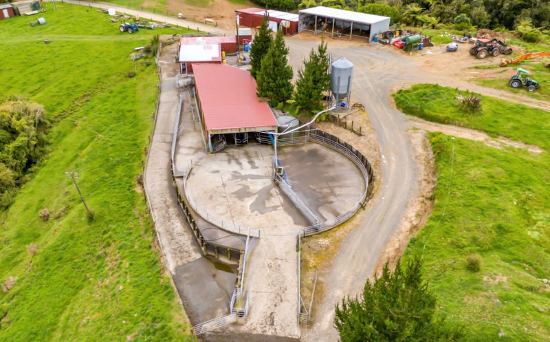 Image 1 of 20
